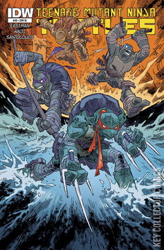 Variant Cover for Teenage Mutant Ninja Turtles #49