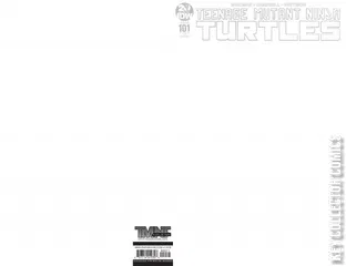 Variant Cover for Teenage Mutant Ninja Turtles #101