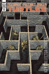 Variant Cover for Teenage Mutant Ninja Turtles #141