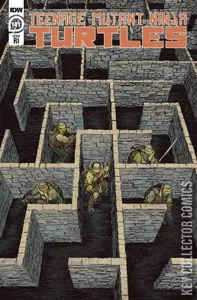 Teenage Mutant Ninja Turtles #141
