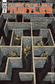 Variant Cover for Teenage Mutant Ninja Turtles #141