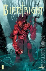 Cover for Birthright #17
