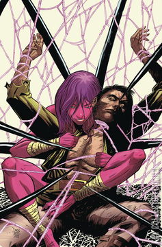 Variant Cover for Sonjaversal #4