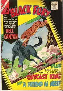 Black Fury #57