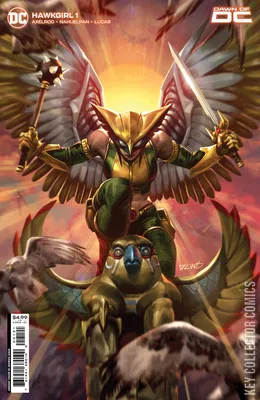 Hawkgirl