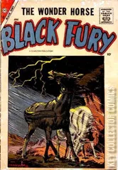 Cover for Black Fury #14