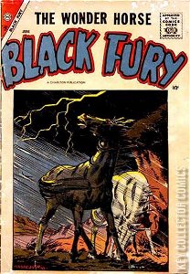 Black Fury #14