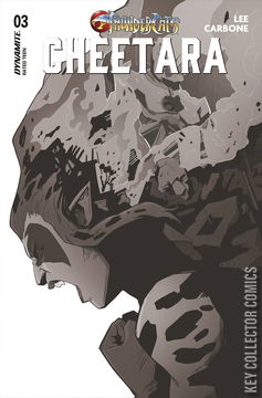 Variant Cover for Thundercats: Cheetara #3