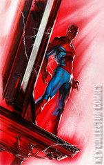 Variant Cover for Amazing Spider-Man: Torn #2