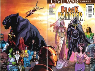 Cover for Black Panther #18