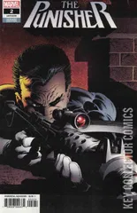 Variant Cover for Punisher #2