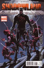 Variant Cover for Shadowland #1