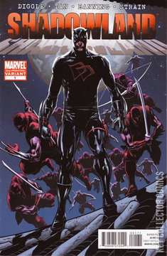 Variant Cover for Shadowland #1