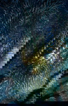 Variant Cover for The Plot #1