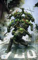 Variant Cover for Teenage Mutant Ninja Turtles #100