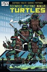 Cover for Teenage Mutant Ninja Turtles #51