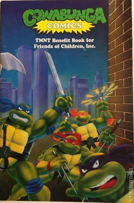 Cowabunga! Teenage Mutant Ninja Turtle collector still a 'kid