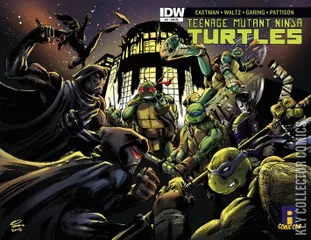 Variant Cover for Teenage Mutant Ninja Turtles #51