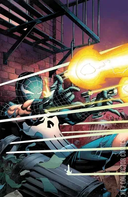 What If? Peter Parker Became The Punisher