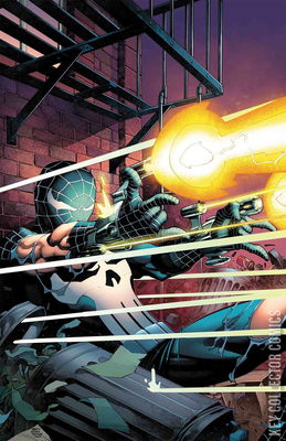 What If? Peter Parker Became The Punisher