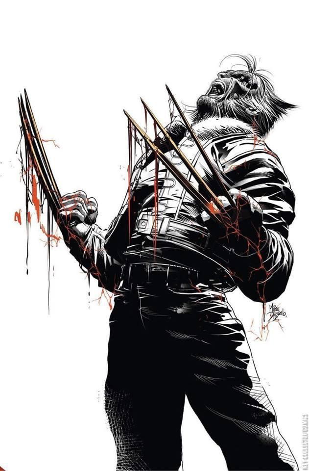 Variant Cover for Old Man Logan #25