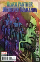 Variant Cover for Black Panther: World of Wakanda #1