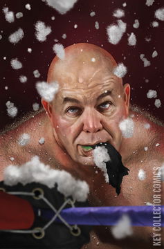 Variant Cover for WWE #24