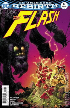 Variant Cover for Flash #19