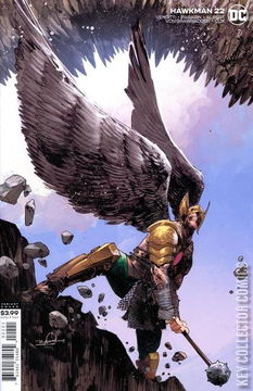 Variant Cover for Hawkman #22