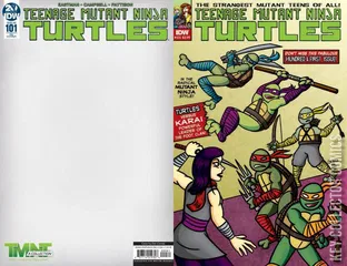 Variant Cover for Teenage Mutant Ninja Turtles #101