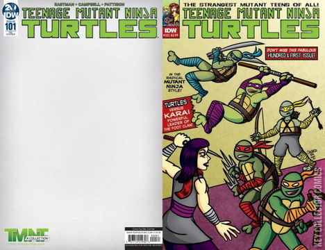 Variant Cover for Teenage Mutant Ninja Turtles #101