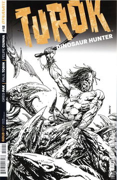 Variant Cover for Turok Dinosaur Hunter #12
