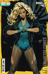 Variant Cover for Birds of Prey #7