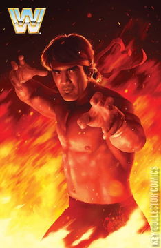 Variant Cover for WWE #11