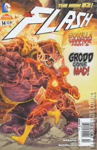 Flash #14