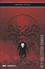 Cover for Punisher #5
