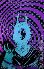 Variant Cover for We Don't Kill Spiders #3