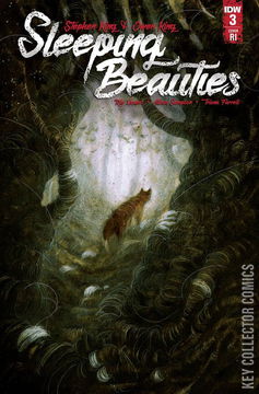 Variant Cover for Sleeping Beauties #3