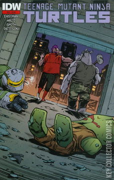 Variant Cover for Teenage Mutant Ninja Turtles #44