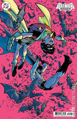 Batman and Robin: Year One