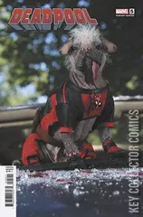 Variant Cover for Deadpool #5