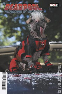 Variant Cover for Deadpool #5