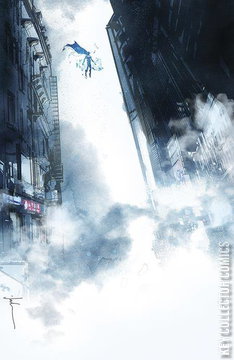 Variant Cover for Radiant Black #32