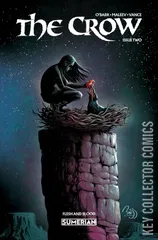 Variant Cover for The Crow: Flesh and Blood #2