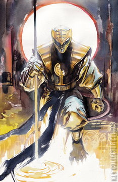 Variant Cover for Mighty Morphin Power Rangers / Teenage Mutant Ninja Turtles #5