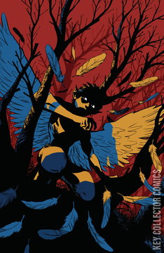 Variant Cover for Wynd: The Power of the Blood #4