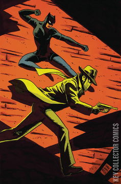 Variant Cover for Green Hornet / Miss Fury #5