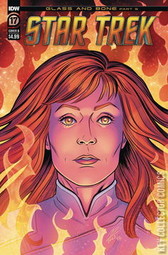 Variant Cover for Star Trek #17