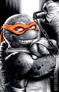 Teenage Mutant Ninja Turtles #132