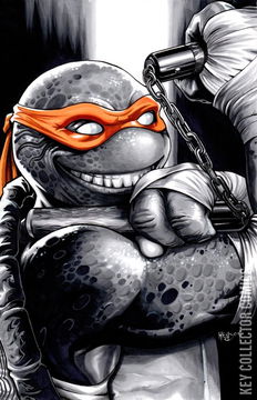 Variant Cover for Teenage Mutant Ninja Turtles #132